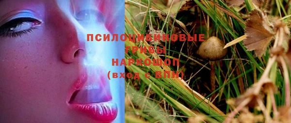 mix Абаза