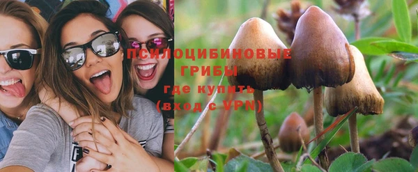 дживик Абинск