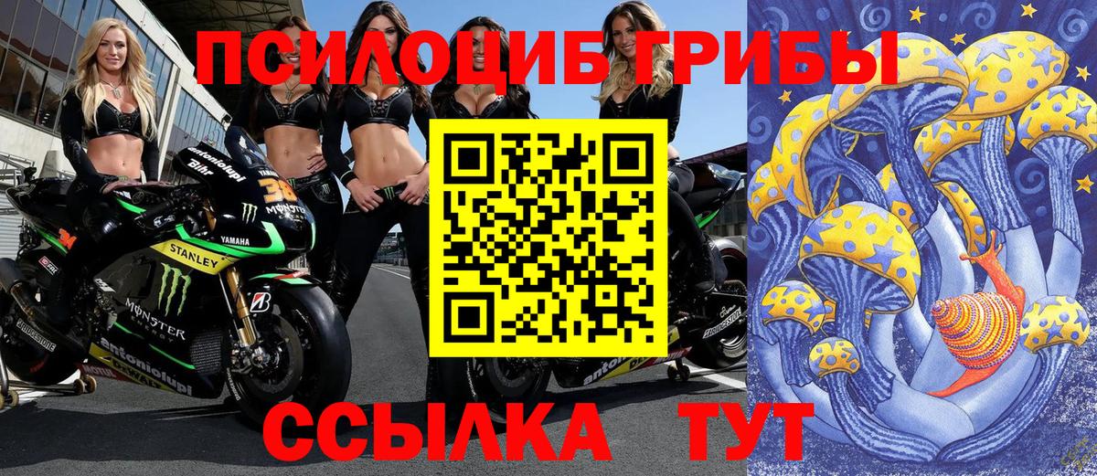 Тула  Галлюциногенные грибы GOLDEN TEACHER  наркотики  Вход с VPN 