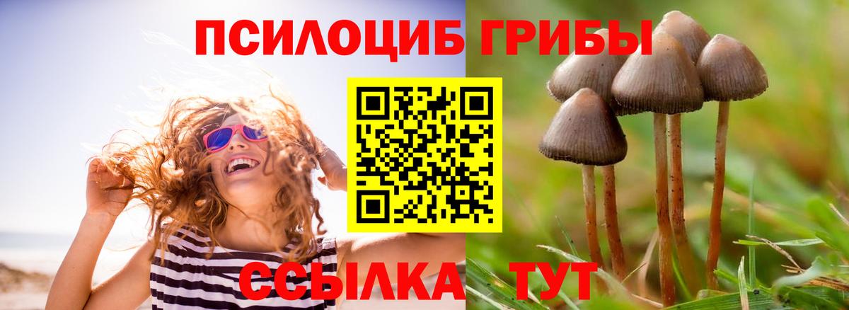 Галлюциногенные грибы MAGIC MUSHROOMS Тула